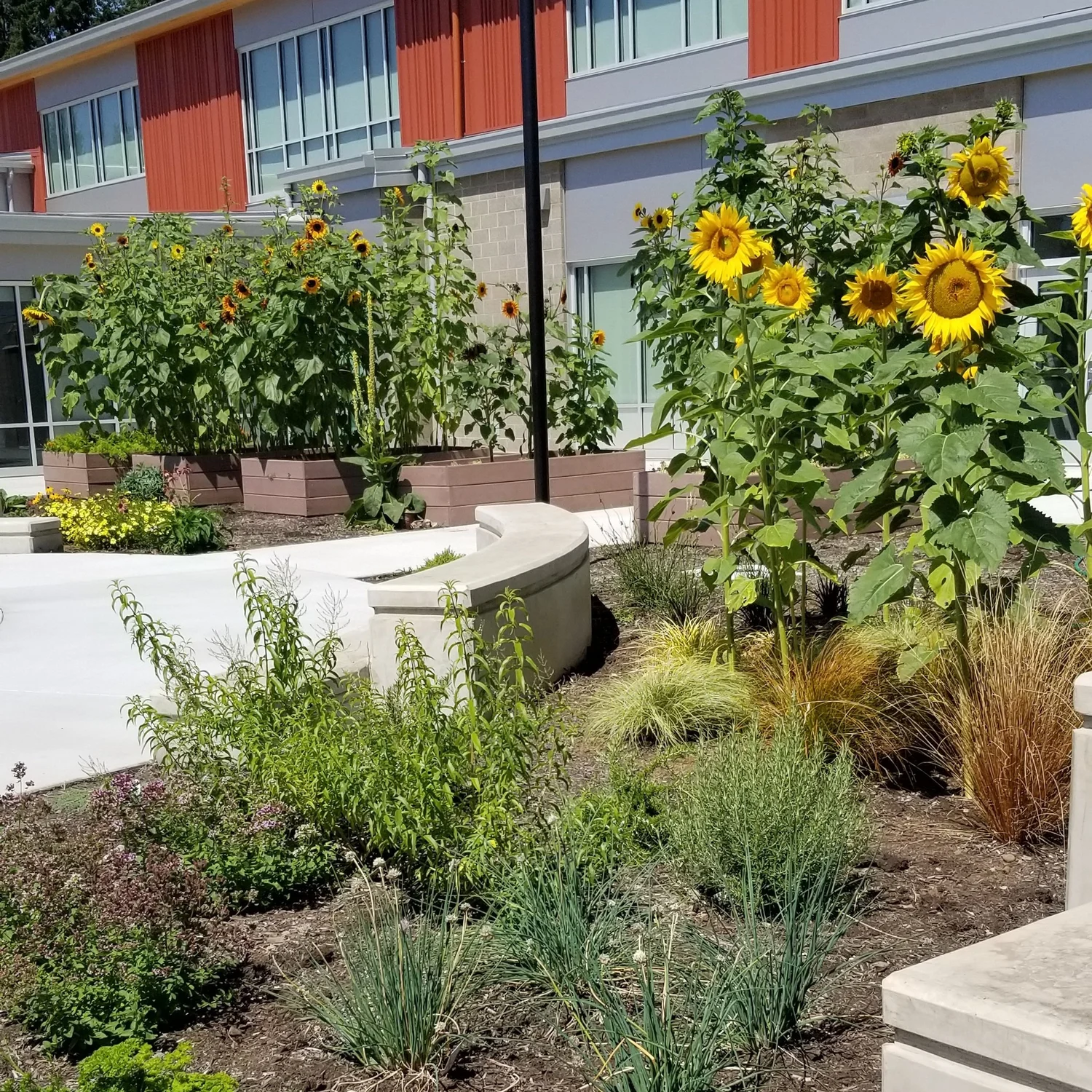 Educator Resources Lower Columbia Nature Network