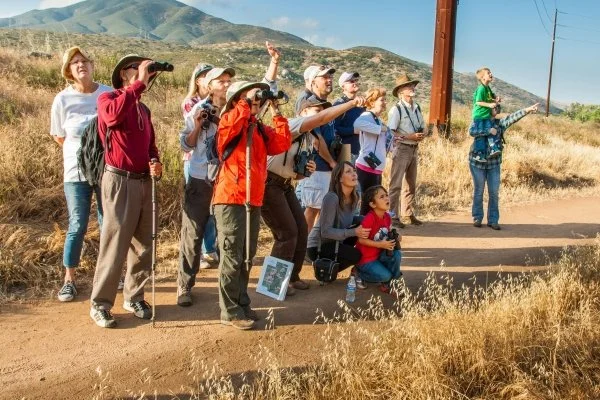 Birding at Ridgefield National Wildlife Refuge