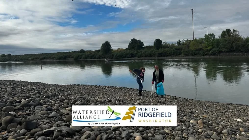 Ridgefield Waterfront Cleanup with the Watershed Alliance