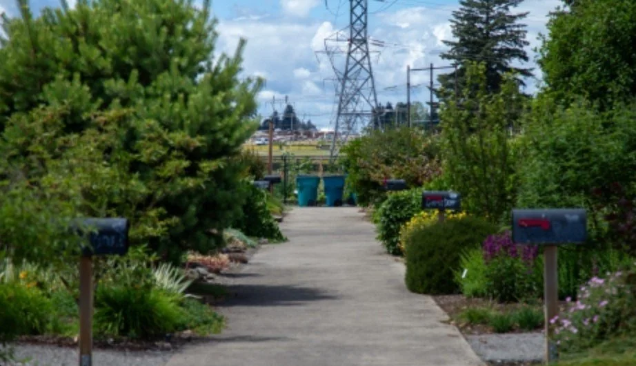 Gardening in Agreement with Nature; Native Plants – Learn & Serve Workshop