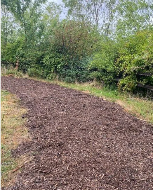 Thomas Wetlands East -Trail Maintenance