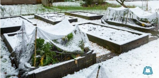 Master Gardener Series: Winterize Your Pacific Northwest Garden