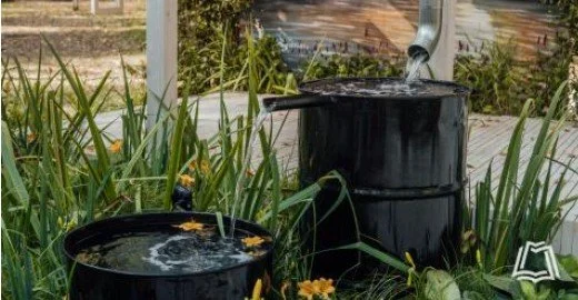 Master Gardener Series: Build Your Own Downspout Water Garden