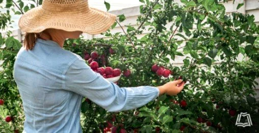 Master Gardener Series: Backyard Fruit Trees