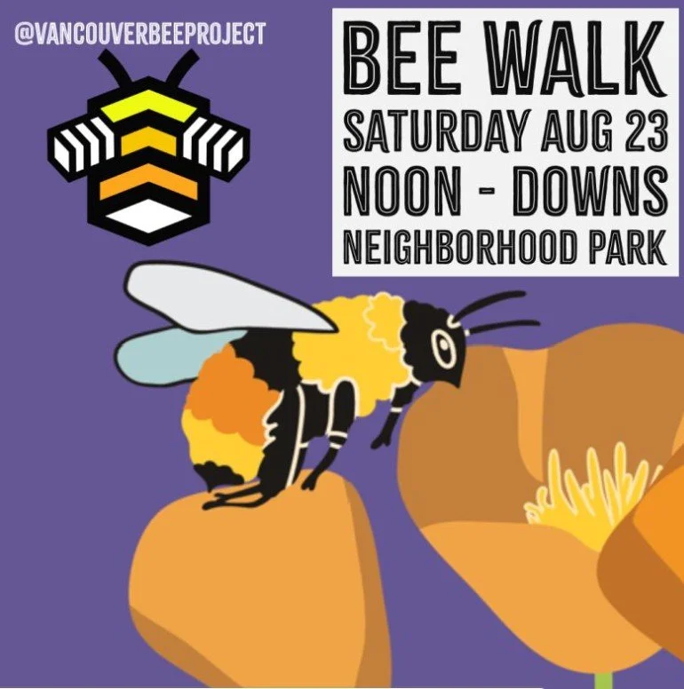 Bee Walk - With Vancouver Bee Project