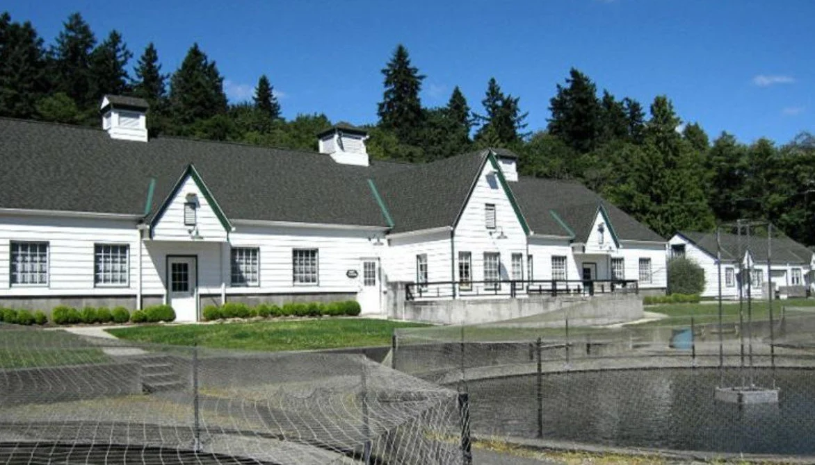 Hatchery Tour at Columbia Springs