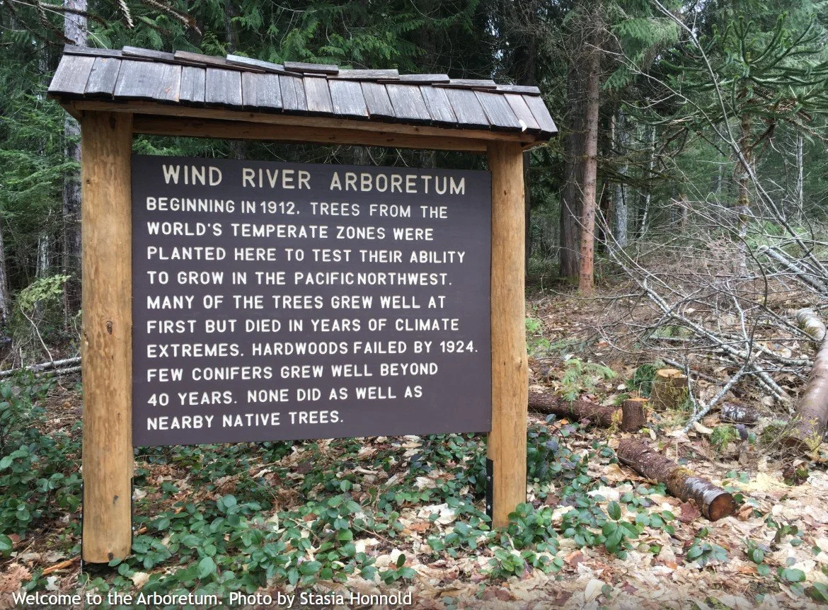 Wind River Arboretum - 1/2 Day Day Work Party with Washington Trails Association