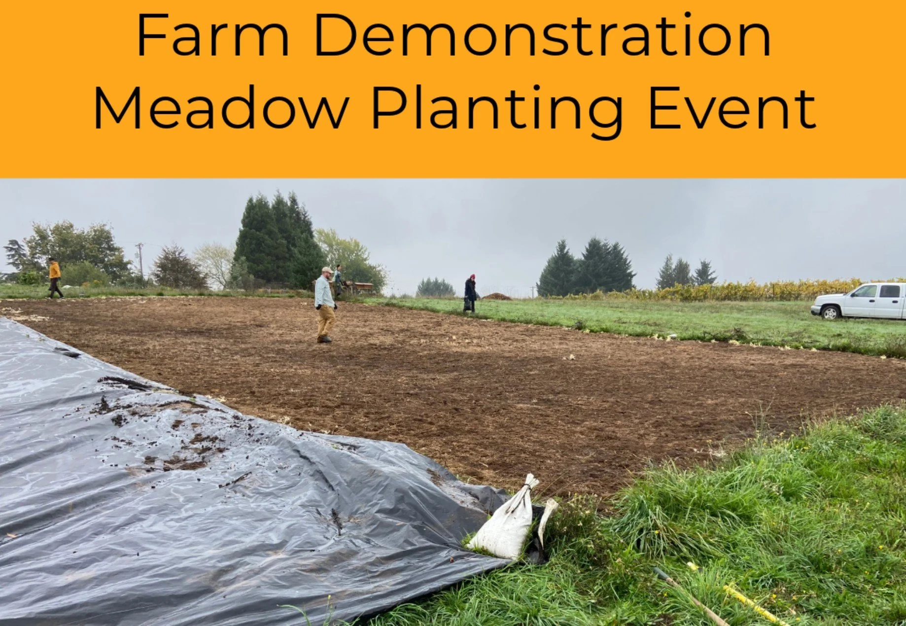 Flat Tack Farm - Meadow Planting Demonstration