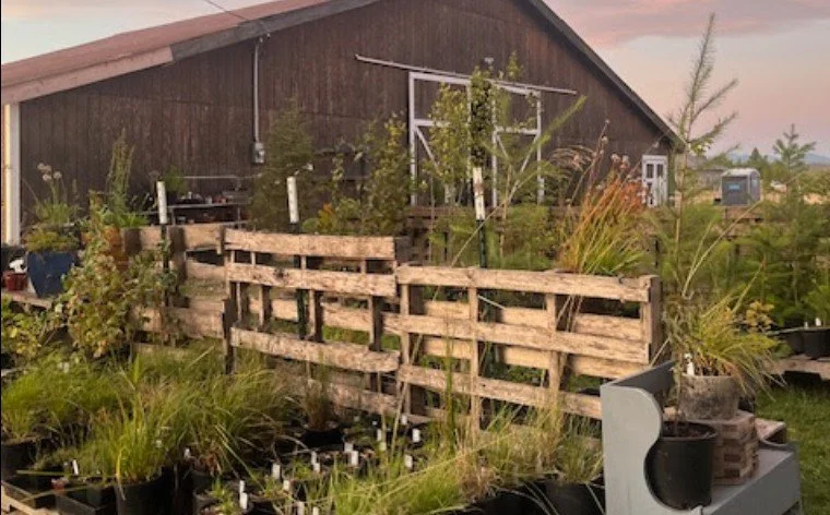 Volunteer Work Party at Good Year Farms