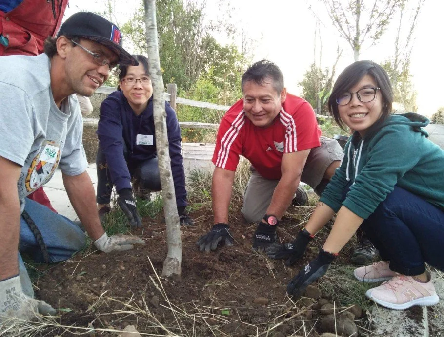 Friends of Trees - City of Vancouver's North Central tree planting event