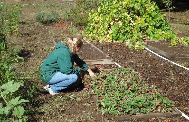 Gardening 103: Integrated Pest Management Virtual Workshop with Clark Conservation District