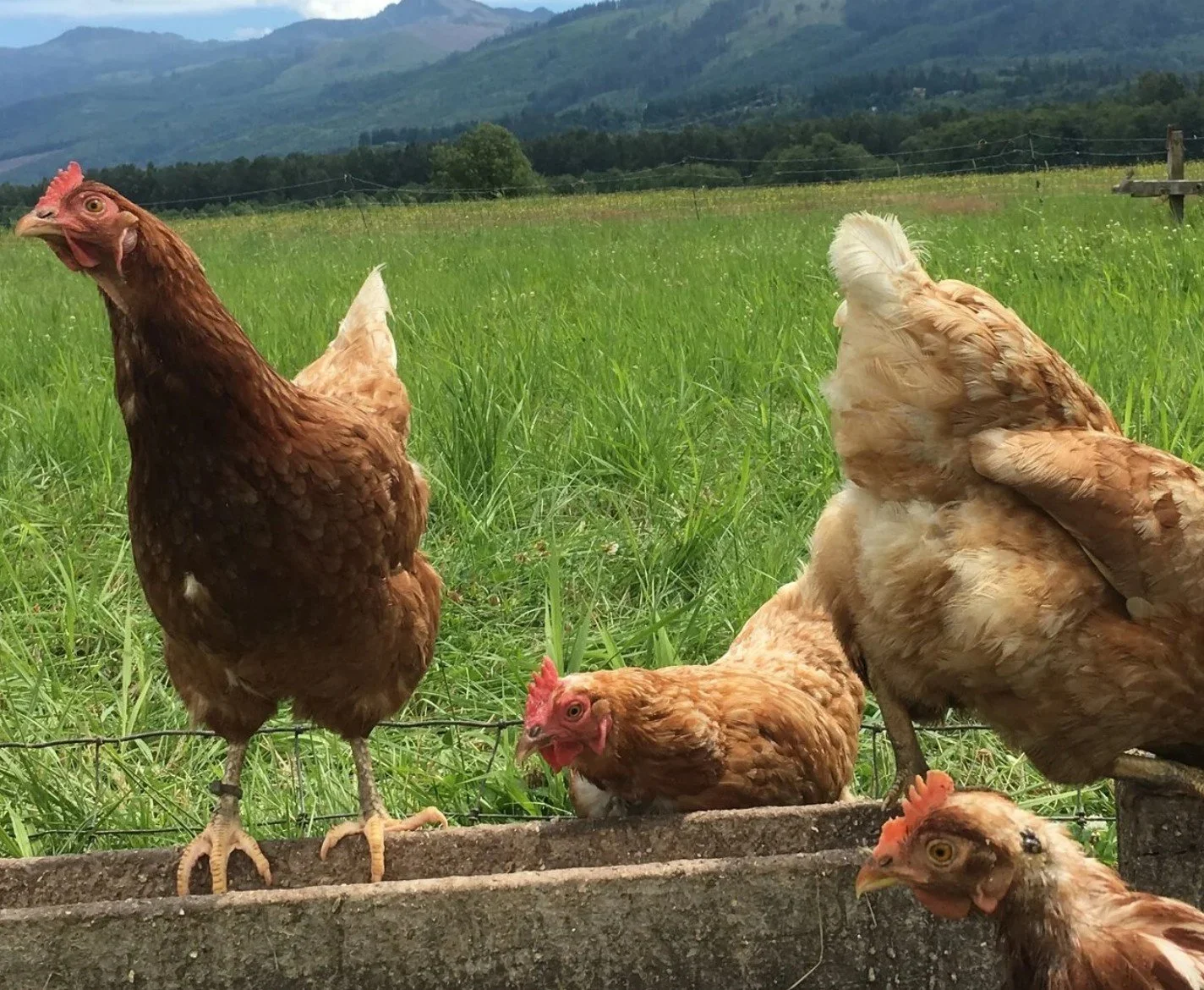 Whole Farm Planning workshop series with Clark Conservation District