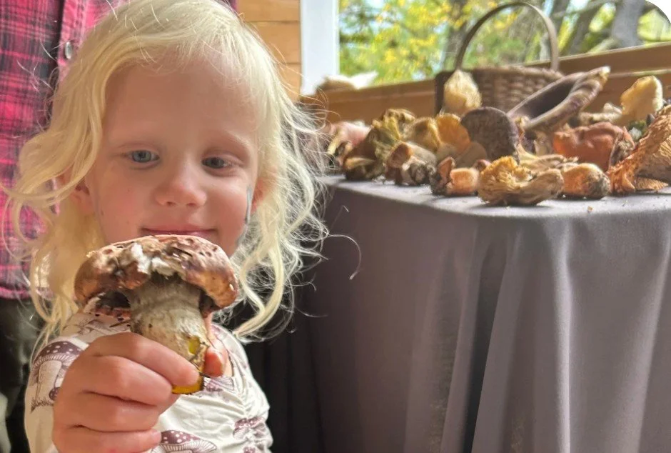 Stevenson Mushroom Festival - “Mushroom Hunt” Passport Adventure