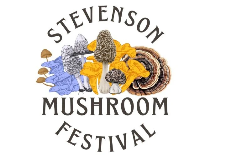 Mushroom Forage Festival in Skamania County