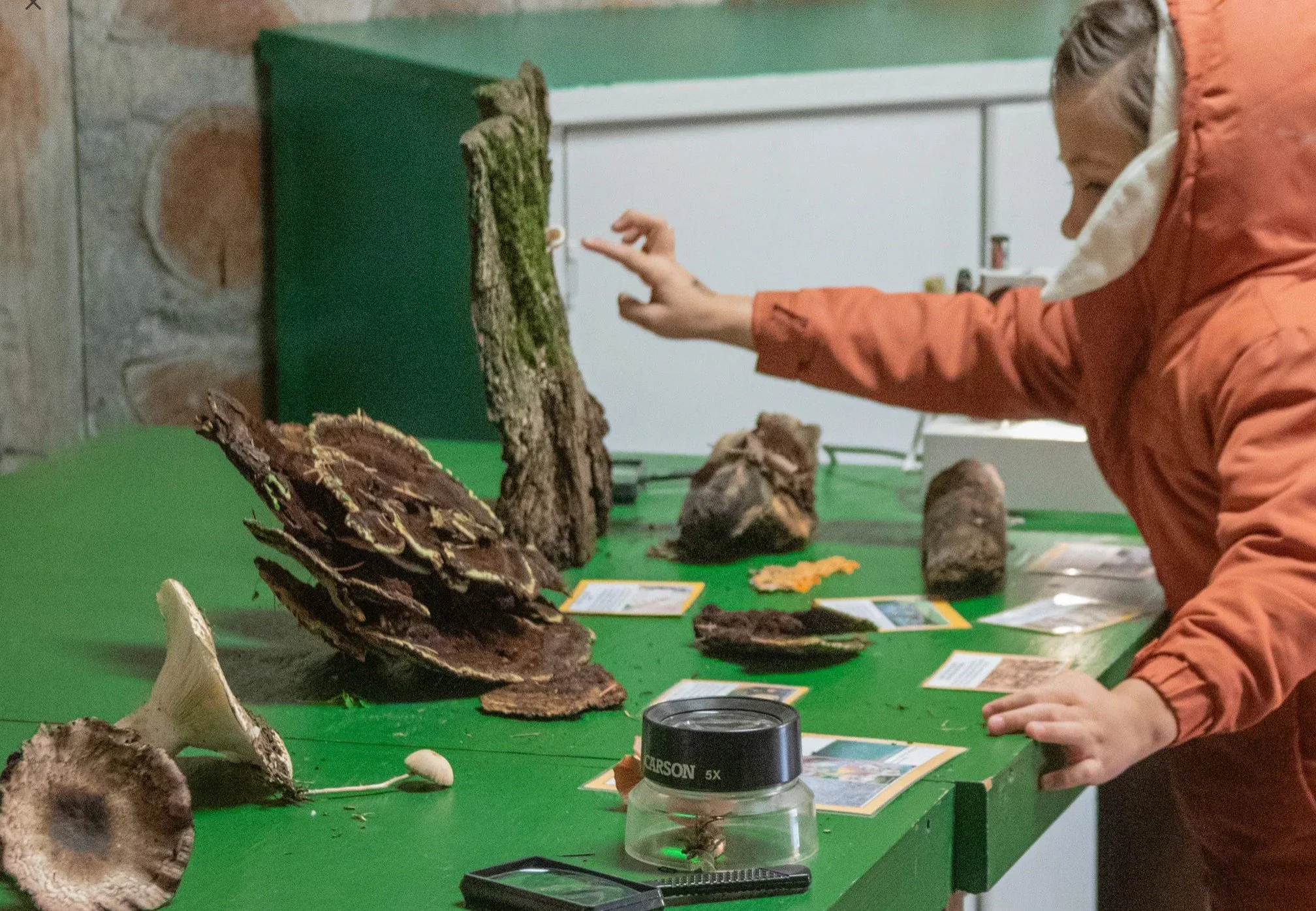 Nature Day at Columbia Springs - Fire, Fungi, and Other Community Builders