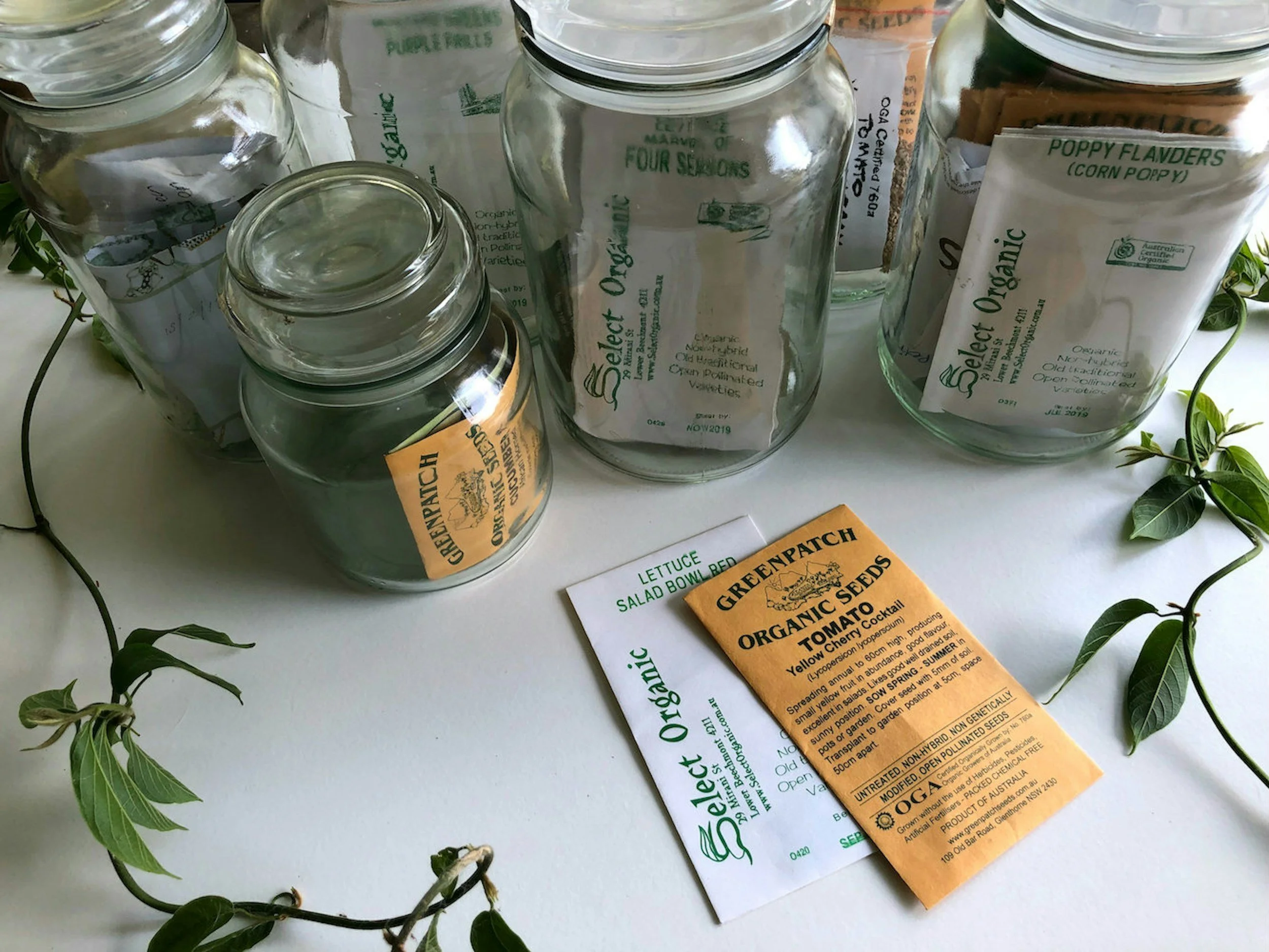Perennial, Flower Bulb and Seed Swap with Naturescaping and WSU Extension Master Gardeners