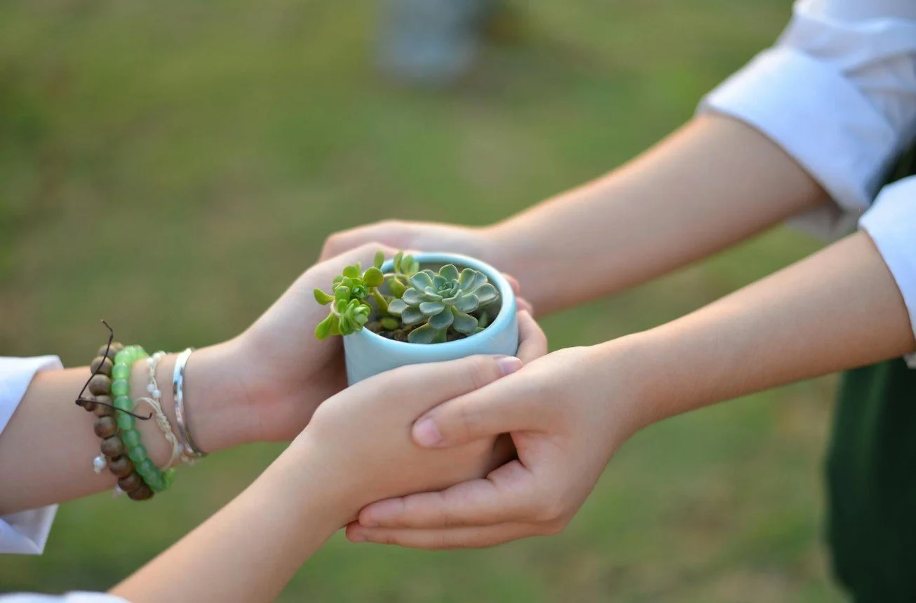 Fall plant & seed swap! at Kindred Home