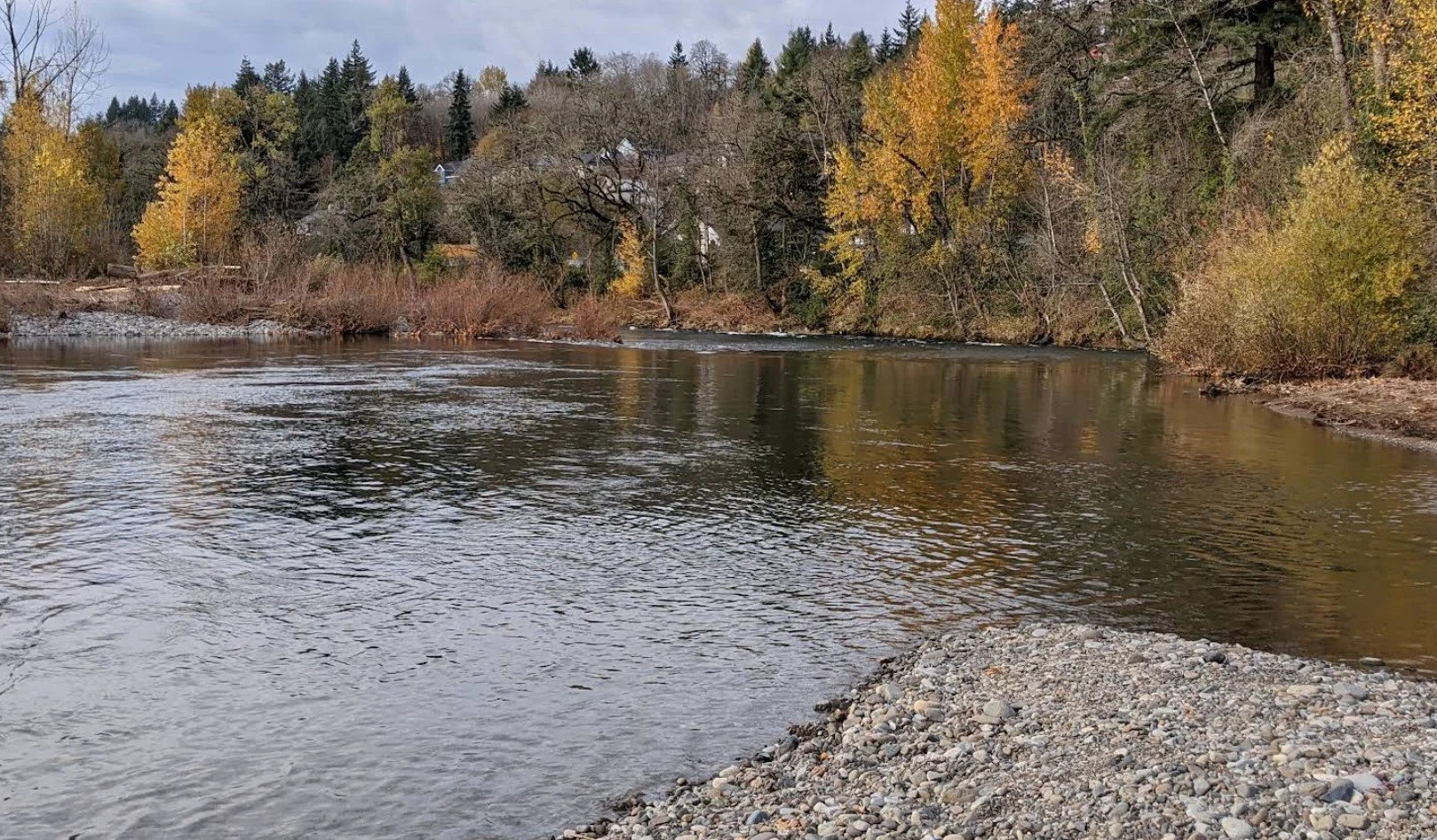 Sandy swimming hole on the Washougal River - Ivy Pull