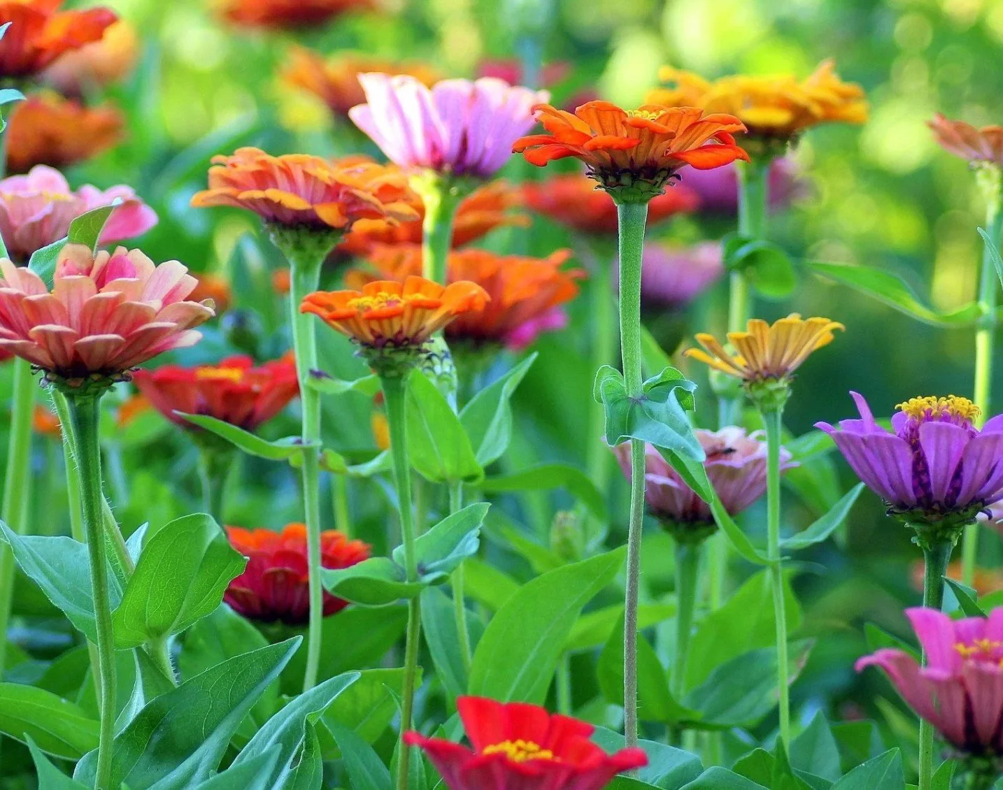 Fall Women's Circle in Nature Workshop Series with the Treehouse Art Studio