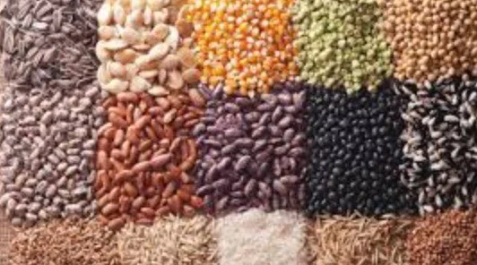 Seed Saver Workshop with WSU Ext. Master Gardeners