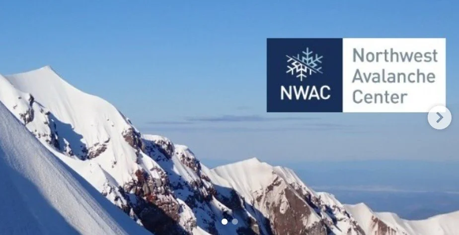 Volcano Views &amp; Brews: Avalanche Awareness with the Northwest Avalanche Center &amp; Mt. St. Helen’s Institute
