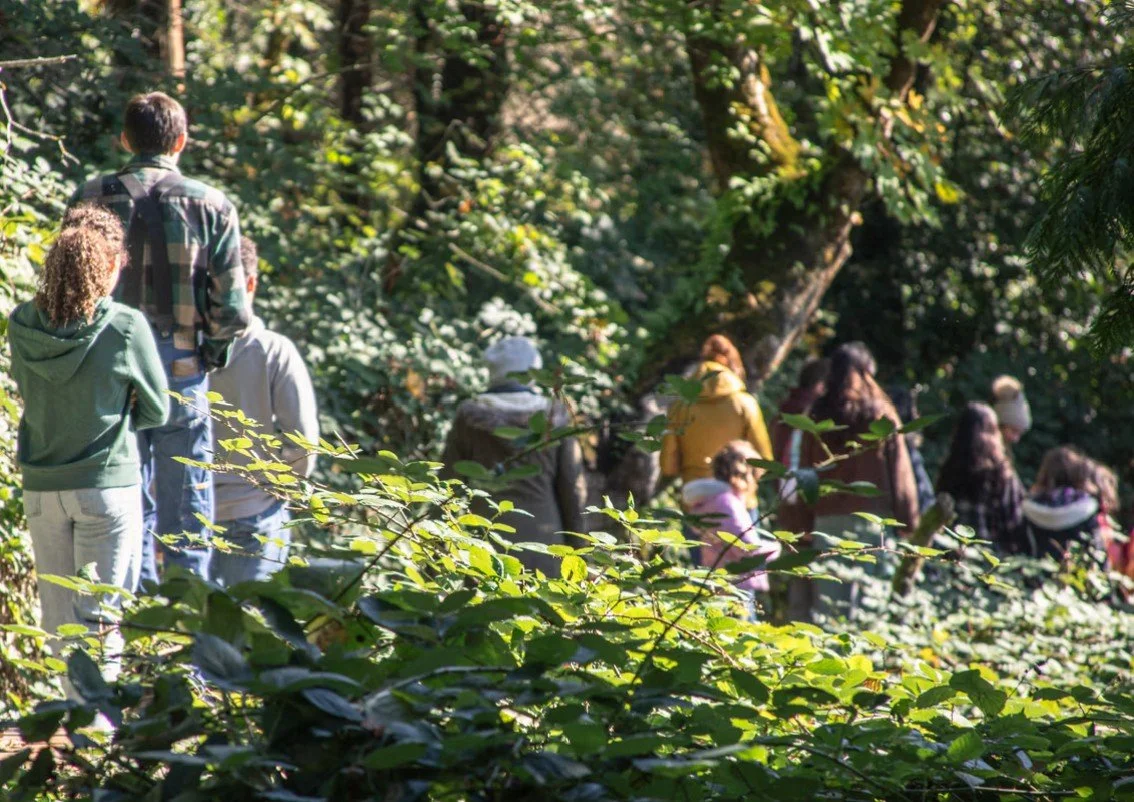 Forest Walk at Columbia Springs