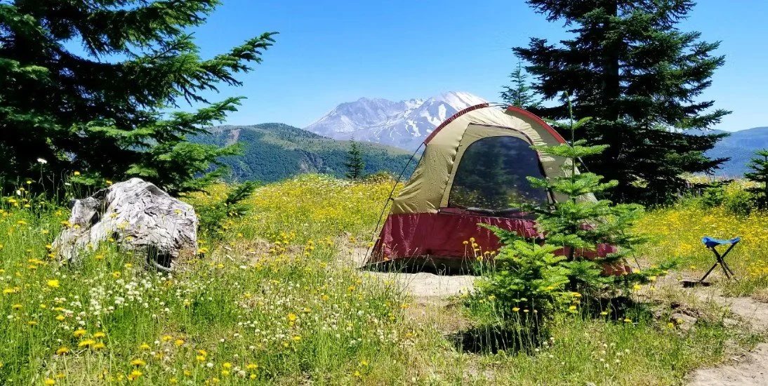 Base Camp Camping with MSHI