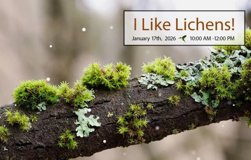I Like Lichens! with author Rebecca Lexa