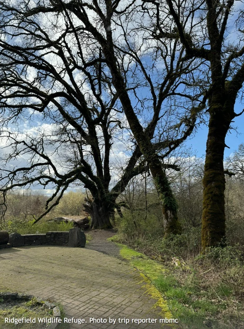 WTA Trail Skills Series: Intro to Power Tools 