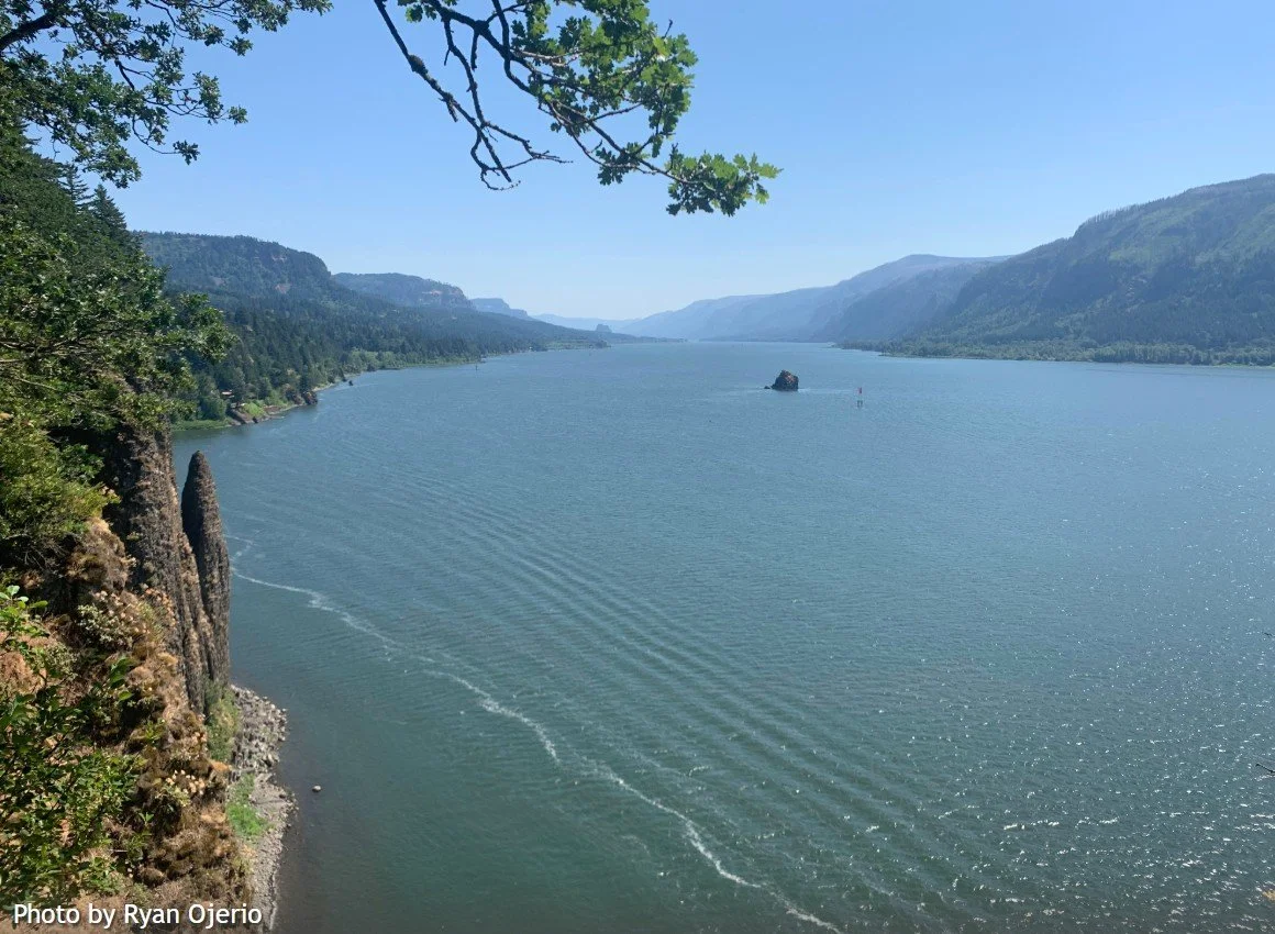 WTA Trail Skills Series: Intro to Drainage