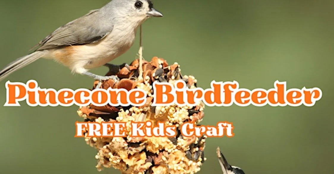 Pinecone Birdfeeder Kids Craft workshop