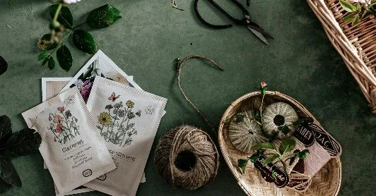 Celebrate National Seed Swap Day!