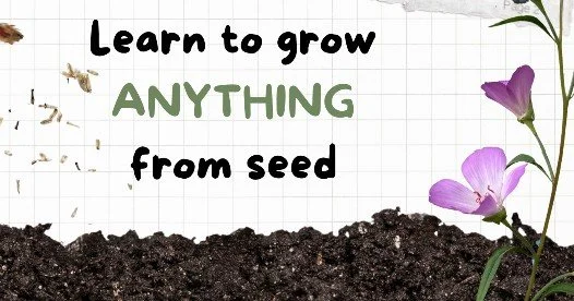 Seed Starting Demo - Learn to Grow Anything