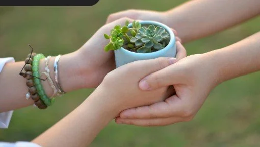 Spring Plant & Seed Swap