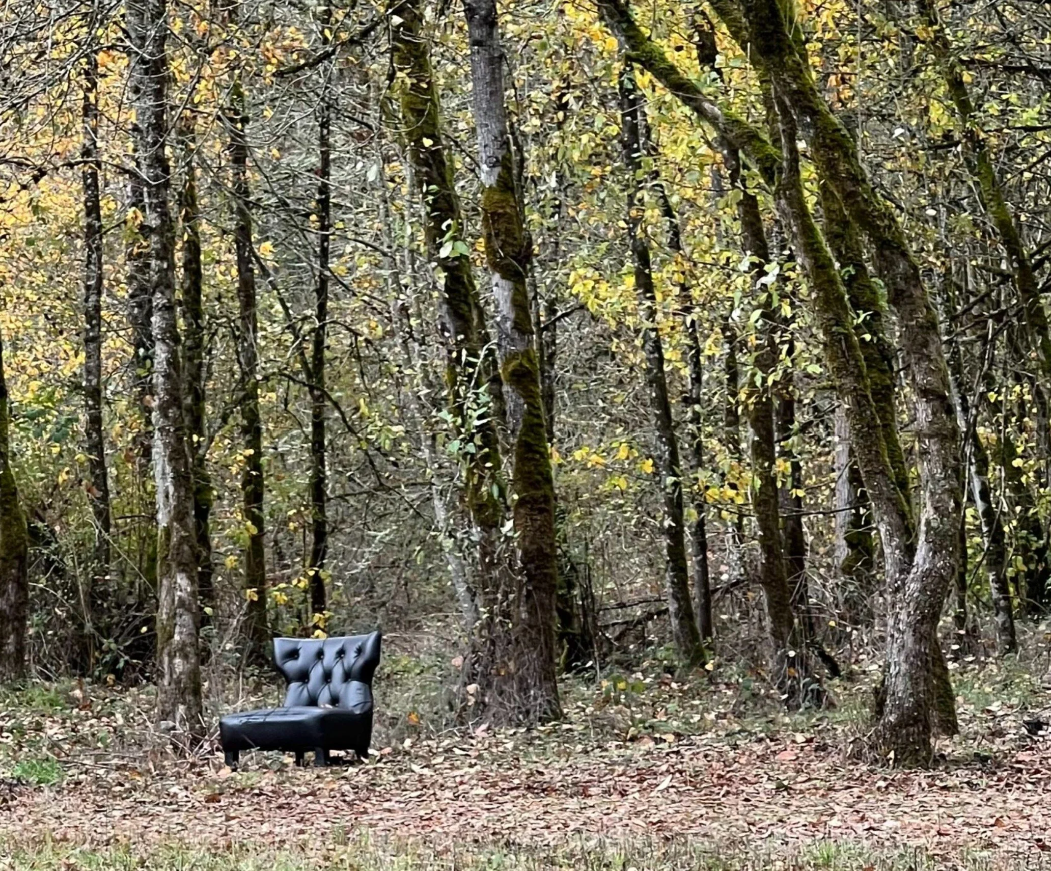 Poetry with Susan Dingle at Plas Newydd Farm