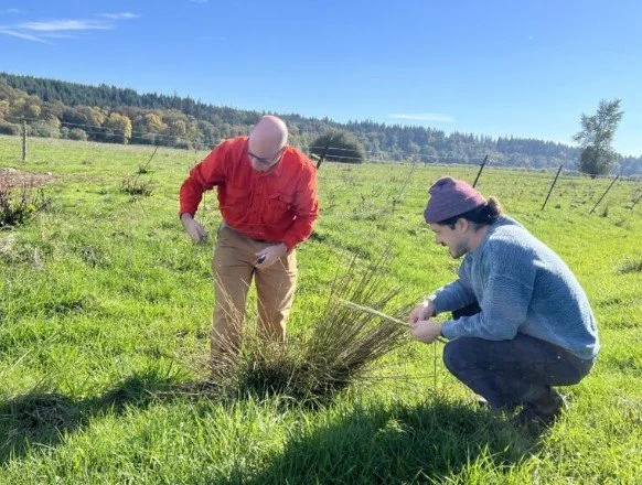 Foraged Fiber Porch Brooms with Dan Hawkins at Plas Newydd Farms