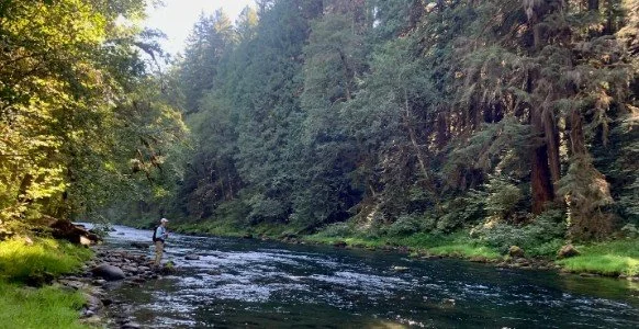 Upper Lewis River Flyfishing Outing with Clark-Skamania Flyfishers