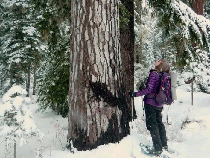 ROAD TRIP - Naturalist Training Program: Reading the landscape - With Cascadia Wild