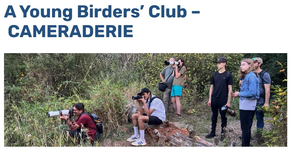 Young Birders to Stewart Glen Trail with Vancouver Audubon Society