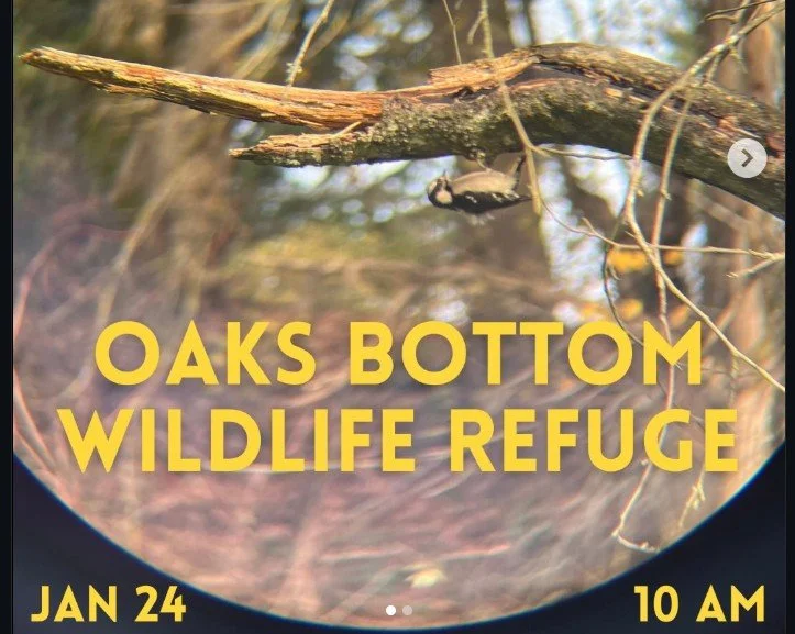 ROAD TRIP - BirdHers Walk at Oaks Bottom Refuge