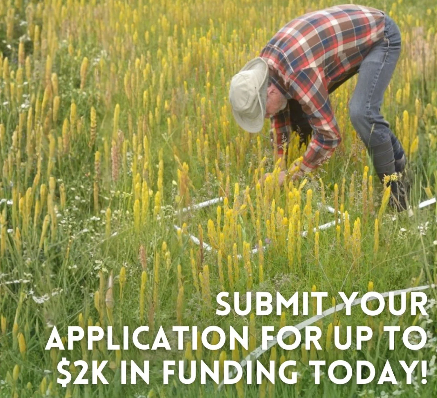 Washington Native Plant Society grants due!