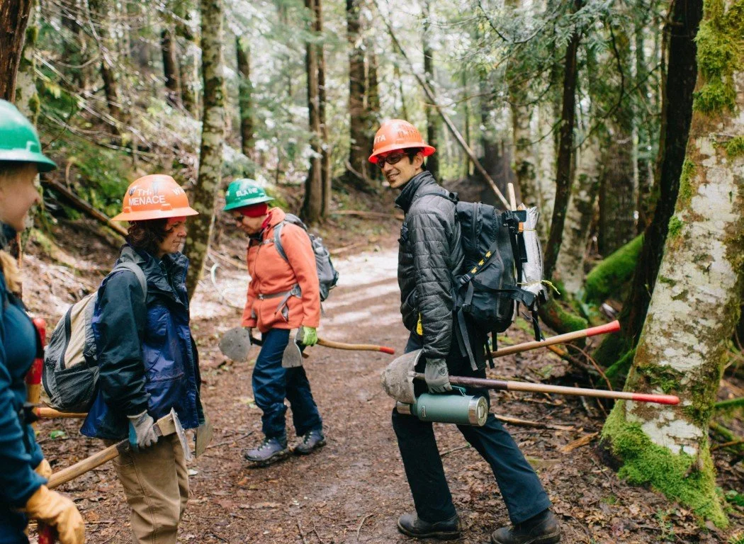 WTA Virtual - Spring Applicants- ACL Virtual Q&A (for green hats)