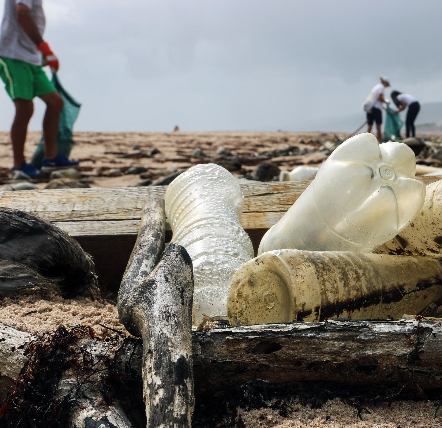 SOLVE Vancouver Litter Removal event