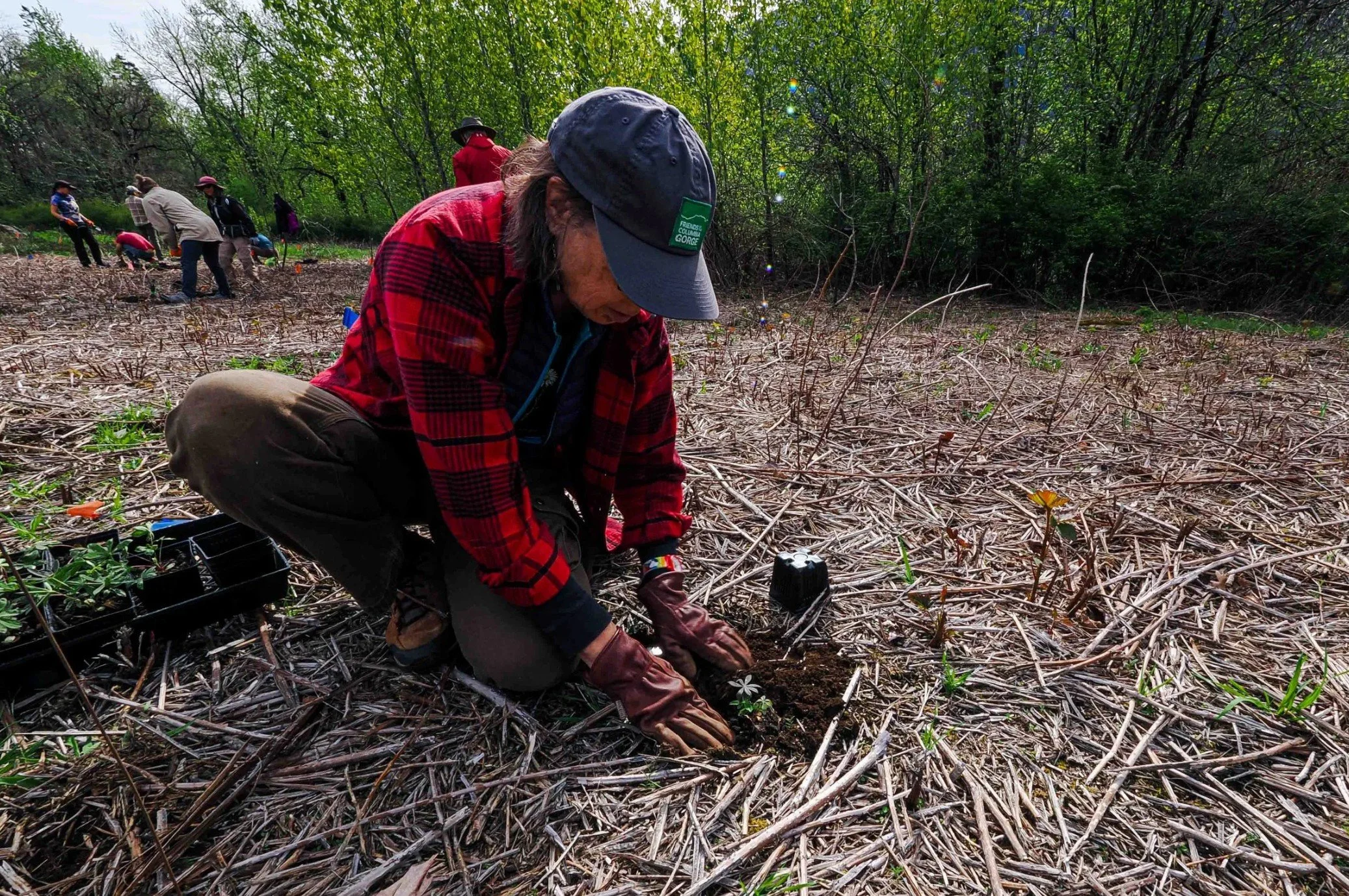 ROAD TRIP - Habitat plantings at Sam Walker Natural Area