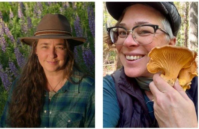 ROAD TRIP - Wildcrafting as stewardship: Harvesting edible &nbsp;&amp; medicinal non-native, invasive plants