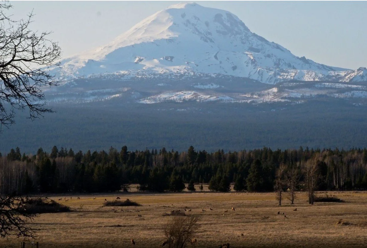 ROAD TRIP - Conboy Lake NWR hike with WNPS