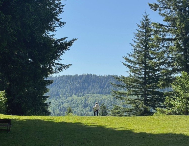 WATERCOLOR IN THE WILD DAY RETREAT- Plein Air Painting in the Washougal River Valley