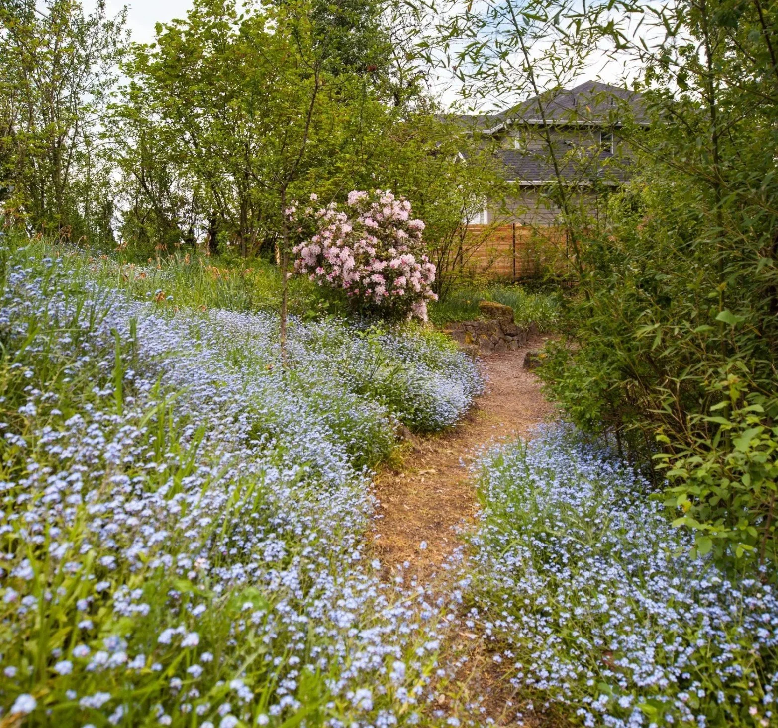 Second Saturday Work Party at Jane Weber Arboretum 
