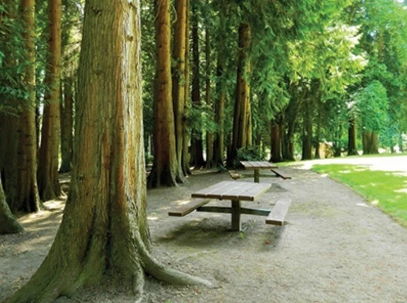 Hazel Dell Community Park Improvements Open House