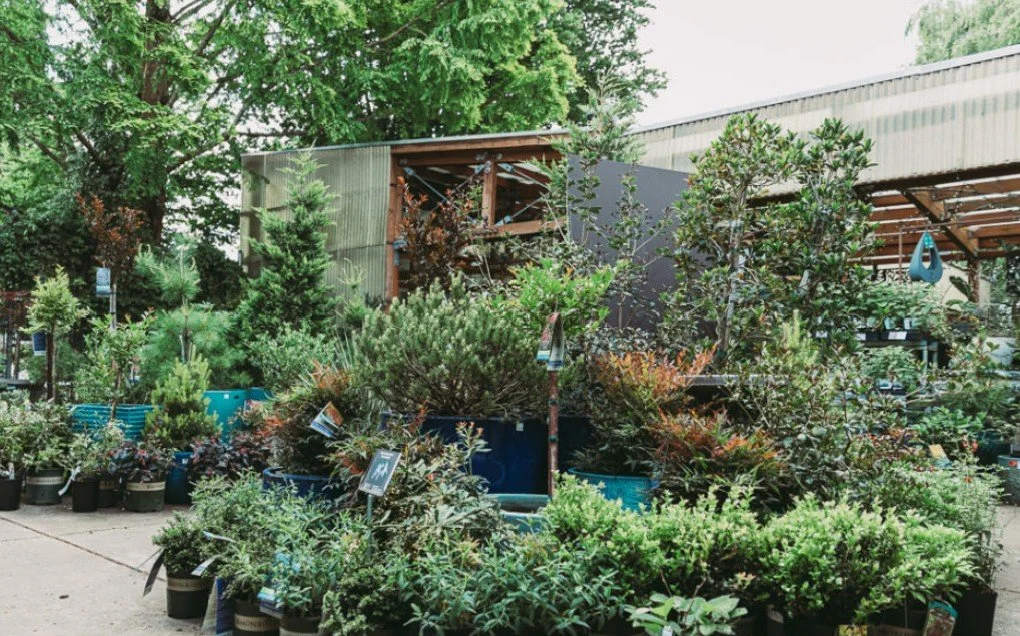 On The Road Tour with Master Gardeners: Spring Fever